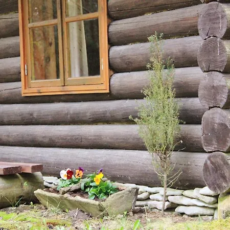 Campsite Kuuli Puhkemajad *