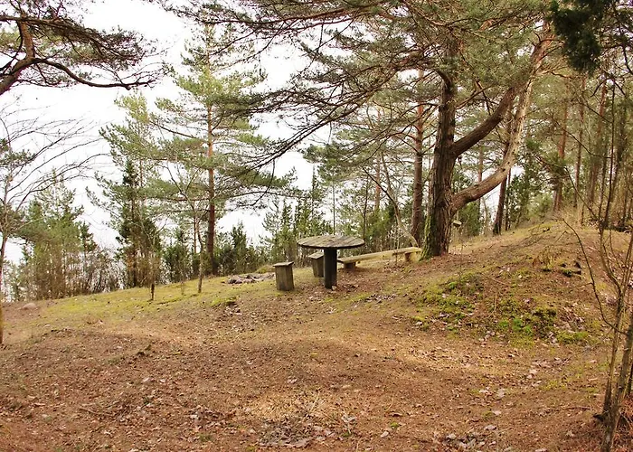 Campsite Kuuli Puhkemajad *