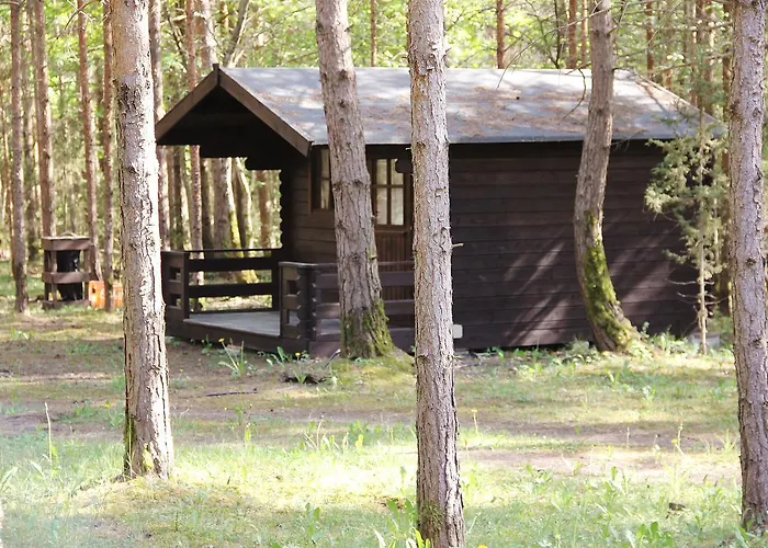 Kuuli Puhkemajad Campsite